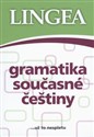 Gramatyka współczesnego języka czeskiego pl online bookstore