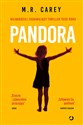 Pandora bookstore