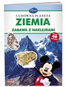 Disney uczy Cudowna planeta Ziemia Zabawa z naklejkami polish books in canada