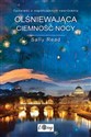 Olśniewająca ciemność nocy - Sally Read