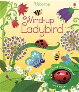 Wind-up Ladybird pl online bookstore