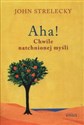 Aha! Chwile natchnionej myśli books in polish