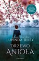 Drzewo Anioła - Lucinda Riley