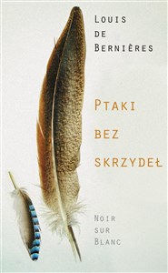 Ptaki bez skrzydeł 