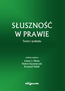 Słuszność w prawie Teoria i praktyka chicago polish bookstore