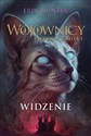 Widzenie. Wojownicy. Potęga Trójki. Tom 1 bookstore