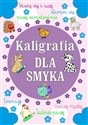 Kaligrafia dla smyka  pl online bookstore