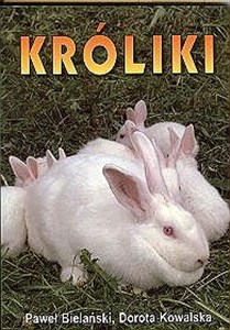 Króliki chicago polish bookstore