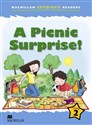 Children's: A Picnic Surprise! Lvl 2  books in polish