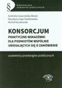 Konsorcjum Praktyczne wskazówki dla podmiotów wspólnie ubiegających się o zamówienie polish usa