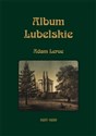 Album Lubelskie 1857-1859 buy polish books in Usa