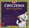 Ćwiczenia dla trzylatka Zabawy edukacyjne z naklejkami Polish bookstore
