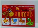 Lotto animals loteryjka z naukąjęzyka angielskiego polish usa