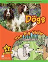 Children's: Dogs 4 The Big Show  Polish Books Canada