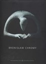 Bronisław Chromy chicago polish bookstore