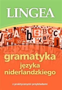 Gramatyka języka niderlandzkiego z praktycznymi przykładami Canada Bookstore