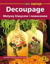 Decoupage Motywy klasyczne i nowoczesne polish books in canada