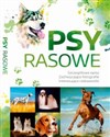 Psy Rasowe /SBM to buy in USA