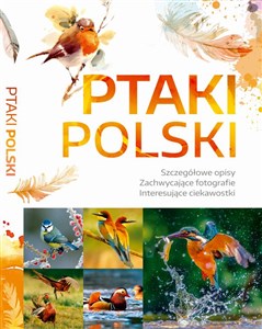 Ptaki Polski / SBM to buy in Canada