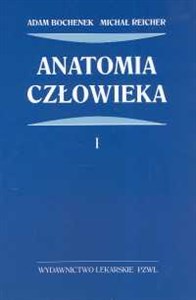 Anatomia człowieka t.1 polish usa