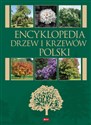 Encyklopedia drzew i krzewów - Opracowanie zbiorowe