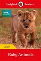 Ladybird Readers BBC Earth multi-copy Pack chicago polish bookstore