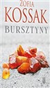 Bursztyny - Zofia Kossak