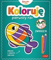 Koloruję pierwszy raz Zwierzęta Bookshop