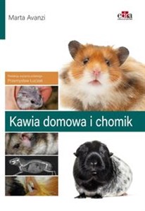 Kawia domowa i chomik buy polish books in Usa