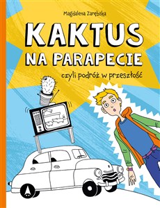 Kaktus na parapecie  to buy in USA