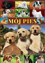 Mój pies  
