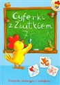 Cyferki z Ziutkiem Książeczka edukacyjna z naklejkami 