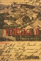 Dzierzgoń Szkice z dziejów miasta  