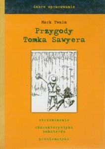 Przygody Tomka Sawyera dobre opracowanie Polish bookstore