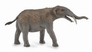 Gomphotherium 1:20  