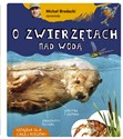 Michał Brodacki opowiada o zwierzętach nad wodą - Michał Brodacki