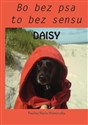 Daisy Bo bez psa to bez sensu Polish bookstore