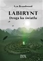 Labirynt: Droga ku światłu  Bookshop