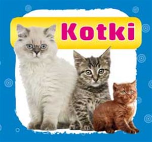 Kotki Harmonijka mała online polish bookstore