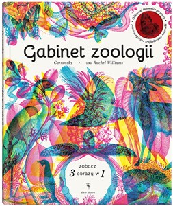 Gabinet zoologii to buy in USA