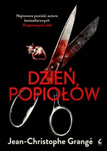 Dzień popiołów books in polish