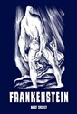 Frankenstein  - Mary Shelley