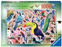 Puzzle 2D 1000 Matt Sewell's Wspaniałe ptaki 16769 - 
