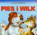 Pies i wilk buy polish books in Usa