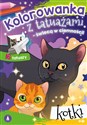 Kolorowanka z tatuażami świecą w ciemności Kotki - 