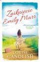 Zniknięcie Emily Marr - Polish Bookstore USA