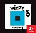 Widzę to Kwadraty - Joanna Babula (ilustr.)