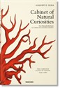 Cabinet of Natural Curiosities - Albertus Seba  