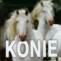Konie  