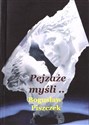 Pejzaże, myśli...  